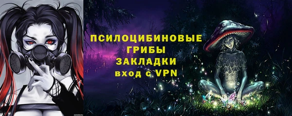 кокс Арсеньев