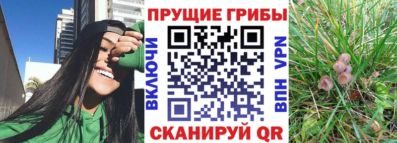 Псилоцибиновые грибы Magic Shrooms  Строитель 